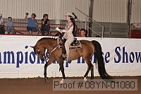 08yn-01080 proof