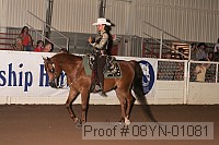 08yn-01081 proof