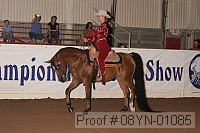 08yn-01085 proof
