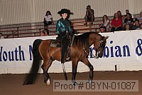 08yn-01087 proof