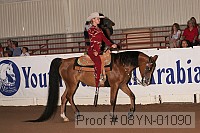08yn-01090 proof