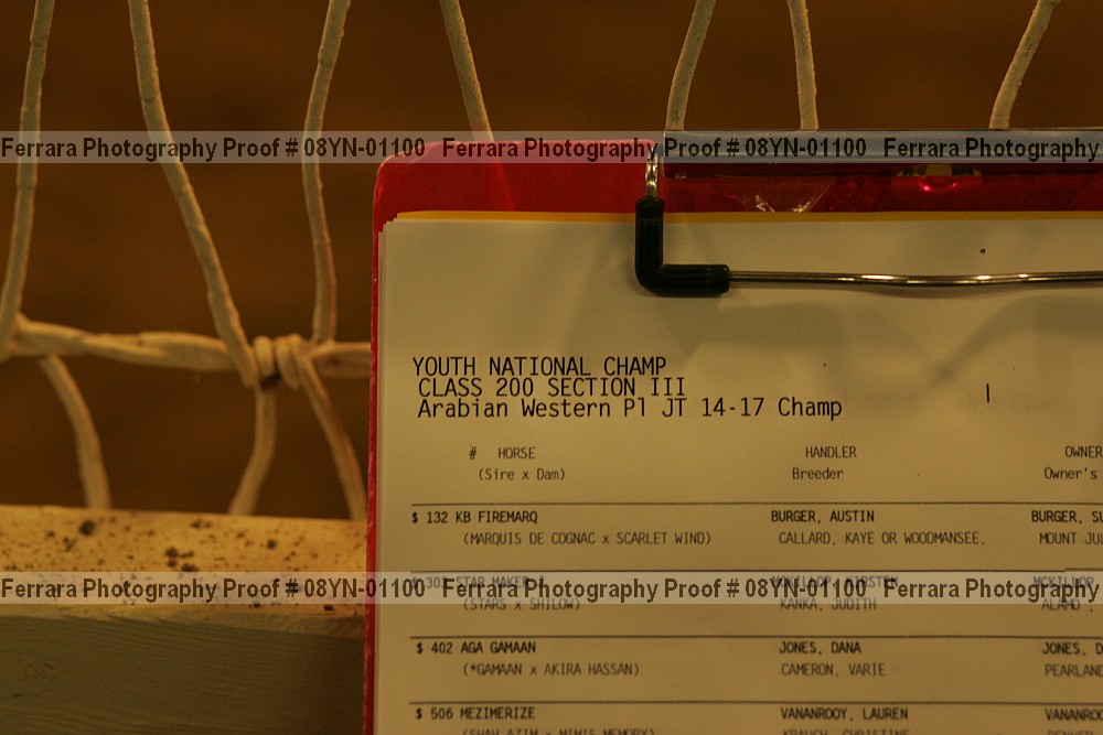 Proof 08yn-01100