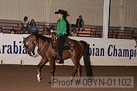 08yn-01102 proof