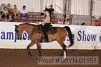 08yn-01151 proof
