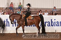 08yn-01155 proof