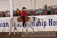 08yn-01161 proof
