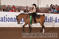 08yn-01173 proof