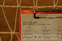 08yn-01175 proof