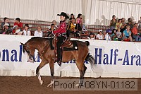 08yn-01182 proof