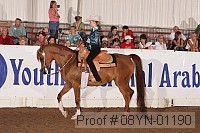 08yn-01190 proof