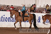 08yn-01191 proof