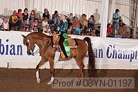 08yn-01197 proof