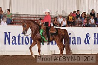 08yn-01204 proof