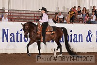 08yn-01207 proof