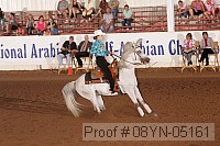 08yn-05161 proof