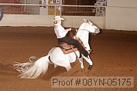 08yn-05175 proof