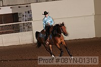 08yn-01310 proof