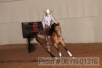 08yn-01316 proof