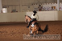 08yn-01320 proof