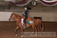 08yn-01330 proof
