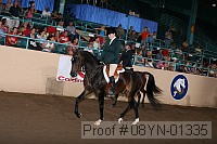 08yn-01335 proof