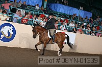 08yn-01339 proof