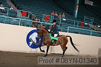 08yn-01340 proof