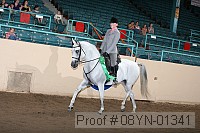 08yn-01341 proof