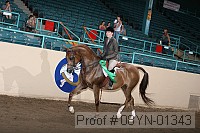 08yn-01343 proof