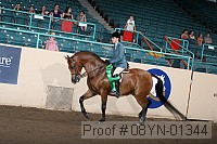 08yn-01344 proof