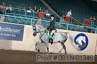 08yn-01345 proof