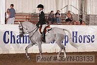 08yn-03133 proof