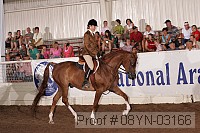 08yn-03166 proof