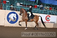 08yn-03250 proof