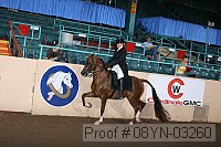 08yn-03260 proof