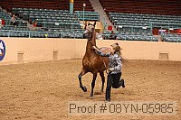 08yn-05985 proof