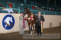 08yn-06005 proof