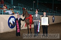 08yn-06007 proof