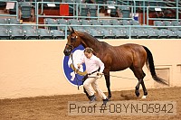 08yn-05942 proof