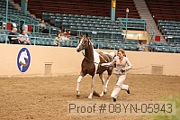 08yn-05943 proof