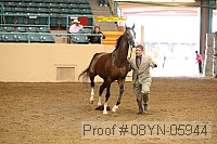 08yn-05944 proof