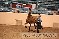 08yn-05945 proof
