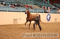 08yn-05946 proof