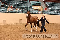 08yn-05947 proof