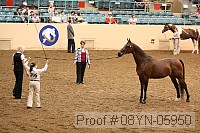 08yn-05950 proof