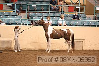 08yn-05952 proof