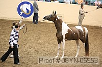 08yn-05953 proof