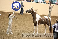 08yn-05954 proof