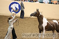 08yn-05955 proof