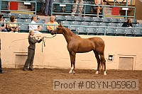 08yn-05960 proof